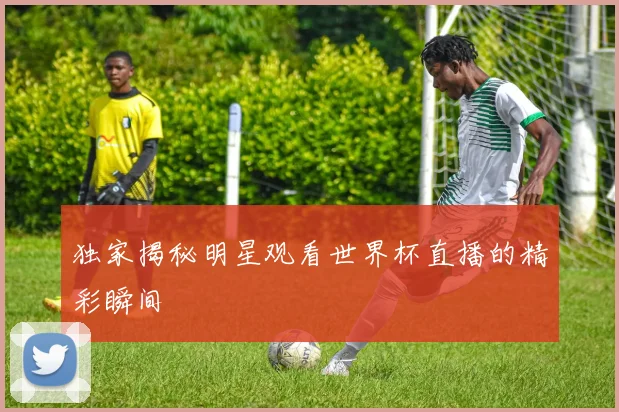 独家揭秘明星观看世界杯直播的精彩瞬间