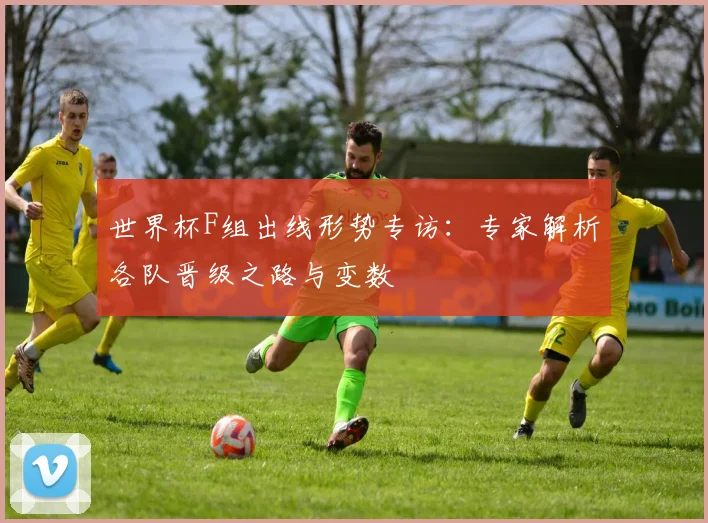 世界杯F组出线形势专访：专家解析各队晋级之路与变数