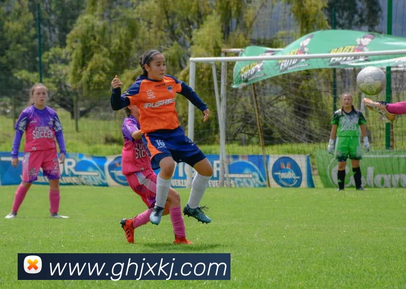 登录器